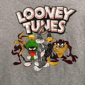Looney Tunes Vintage grey and multi-colored long sleeve shirt. Size‎ Medium.